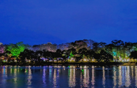 Montería